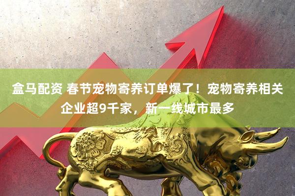 盒马配资 春节宠物寄养订单爆了！宠物寄养相关企业超9千家，新一线城市最多