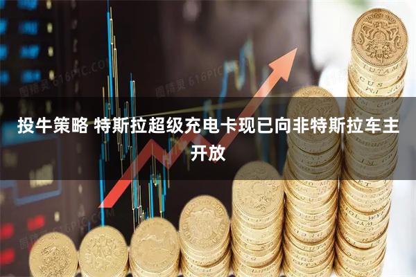 投牛策略 特斯拉超级充电卡现已向非特斯拉车主开放