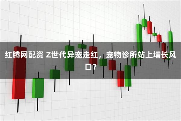 红腾网配资 Z世代异宠走红，宠物诊所站上增长风口？